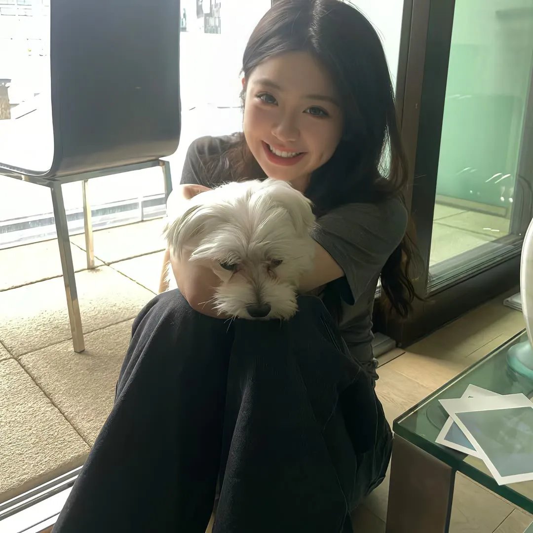 强捕犯